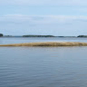 Meet your Posher, Maggie